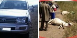 Images of a wrecked vehicle and animal carcasses that Nyongesa sent to Ali purpoting to have been involved in an accident.