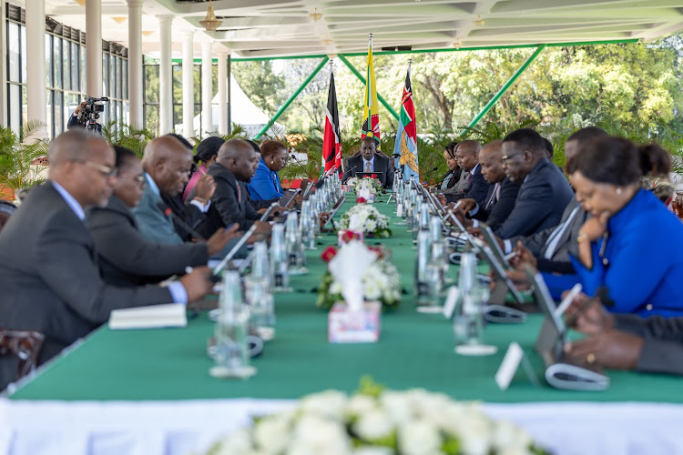 President William Ruto chairs a cabinet meeting at Statehouse, Nairobi on June 11, 2024.