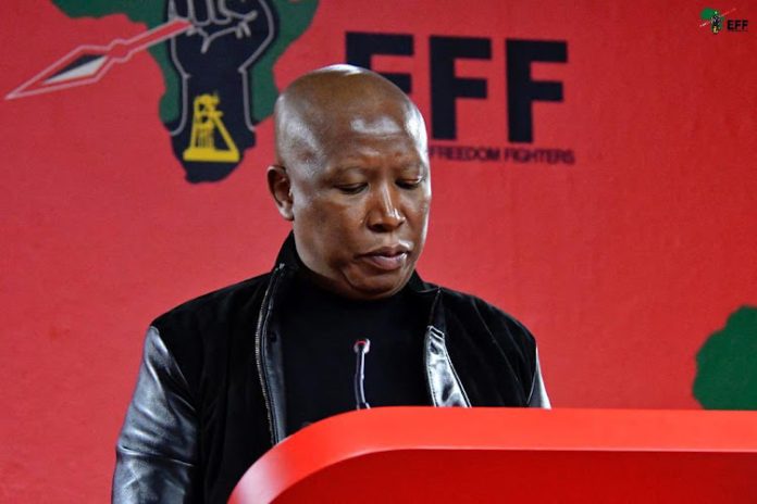 Leader of South Africa's Economic Freedom Fighters party, Julius Malema.